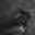 www.netmeister.org favicon