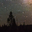 shagbark.substack.com favicon