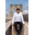 www.anantjain.xyz favicon