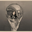 drfeifei.substack.com favicon