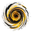 www.focusedchaos.co favicon
