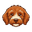 pilotprotocol.network favicon