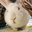 www.noahpinion.blog favicon
