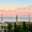 www.vikramsingh.me favicon