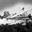 www.experimental-history.com favicon
