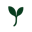 www.mossnotes.app favicon